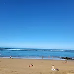Alicia Playa Canteras